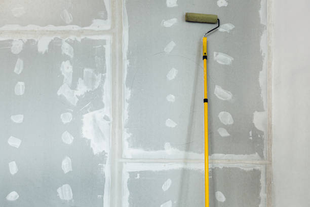 Best Post-Construction Mold Inspection  in De Queen, AR